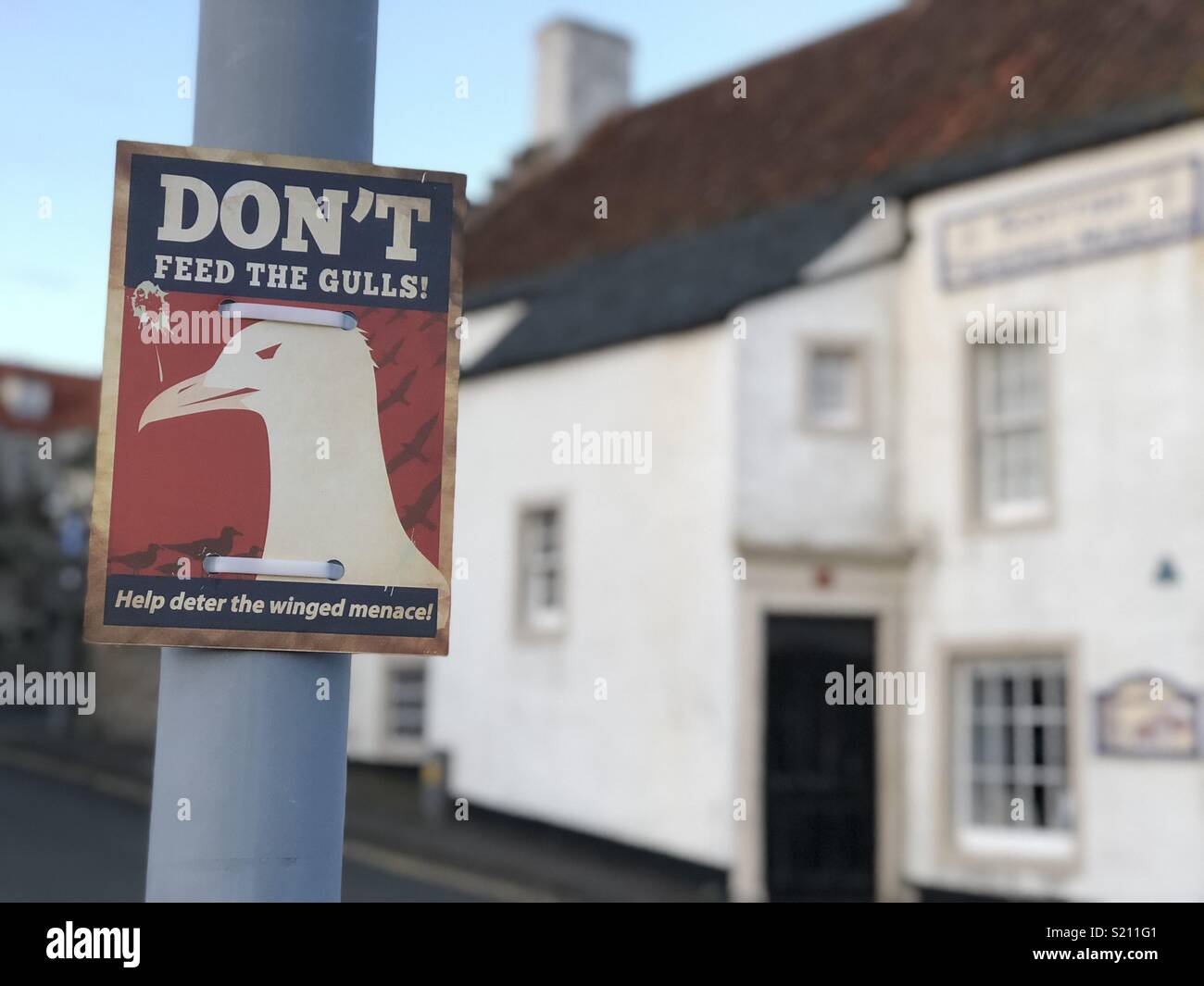 No alimente la gaviota anuncio en Anstruther, Fife Foto de stock