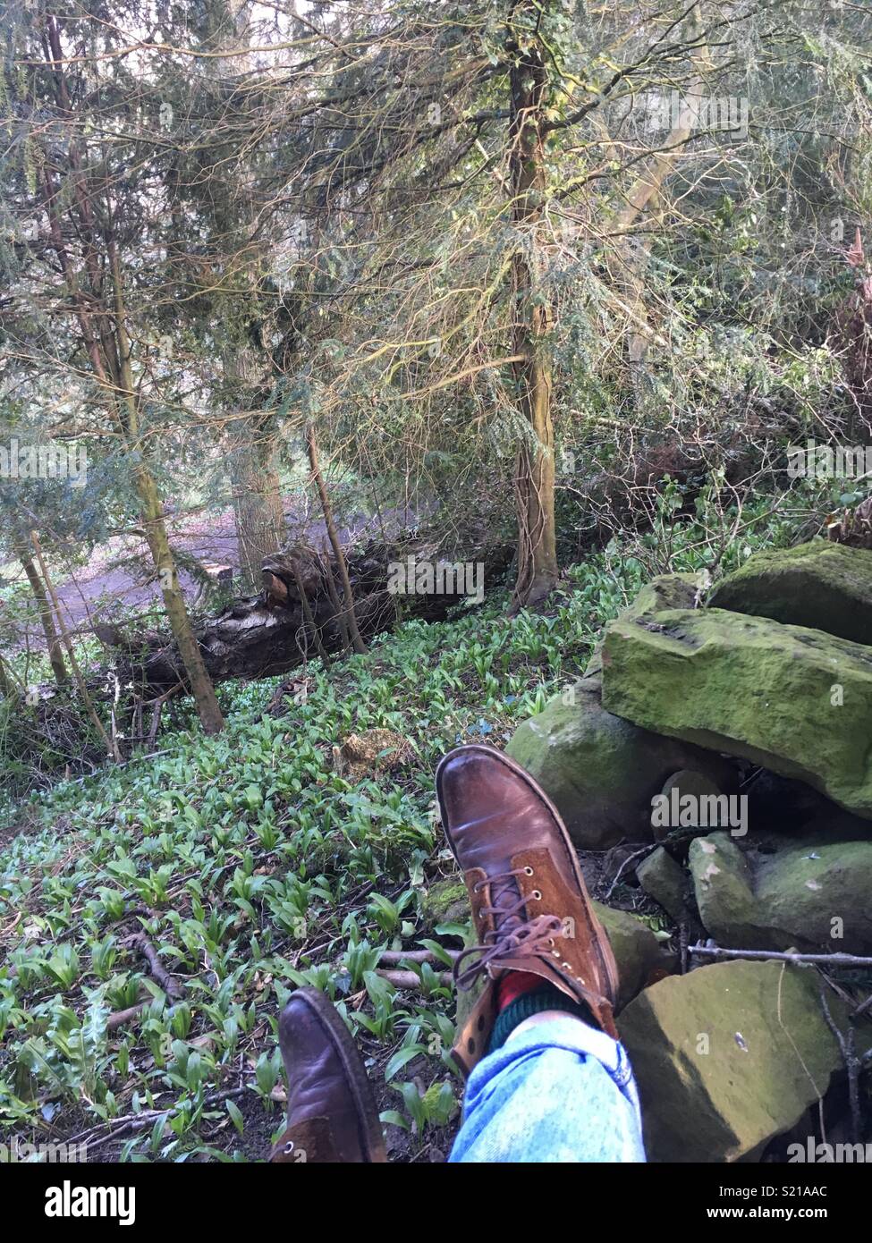 Sentado en el bosque Foto de stock