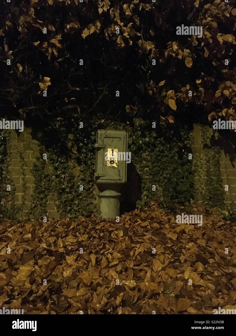 Mobiliario urbano en un montón de hojas retratada en la noche bajo la instalación de luminarias. Foto de stock