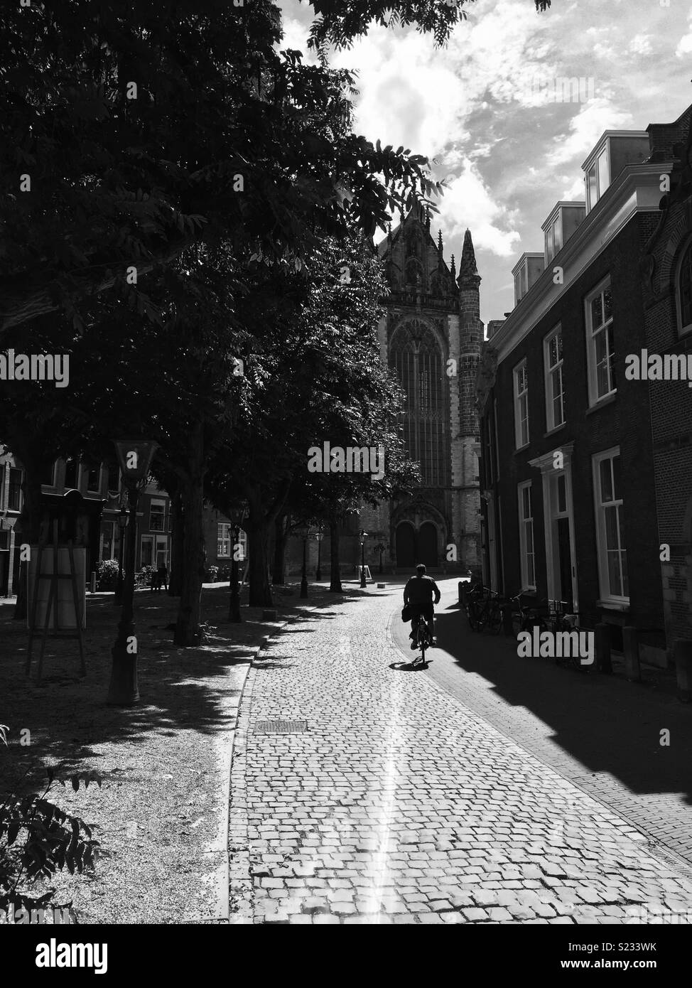 Un ciclista solitario en una villa Holanda capturados en tono plateado en un hermoso día soleado Foto de stock