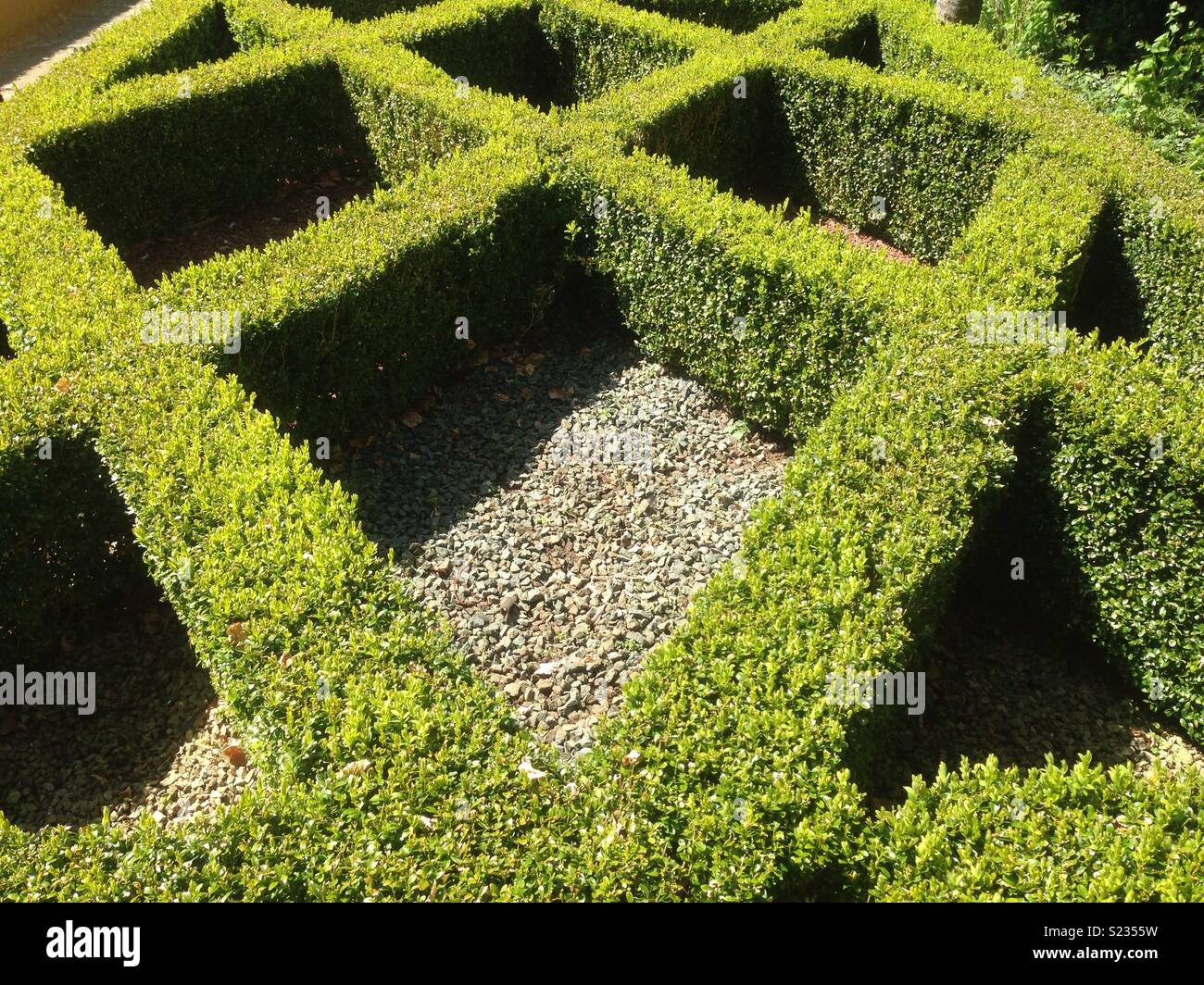 Privet hedge maze fotografías e imágenes de alta resolución - Alamy