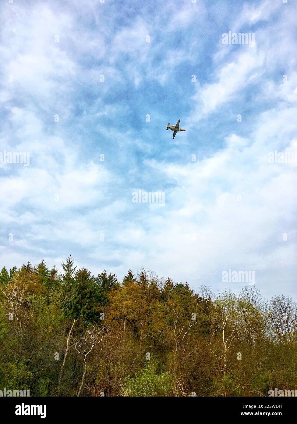 Avión contra el cielo azul volar sobre el bosque Foto de stock