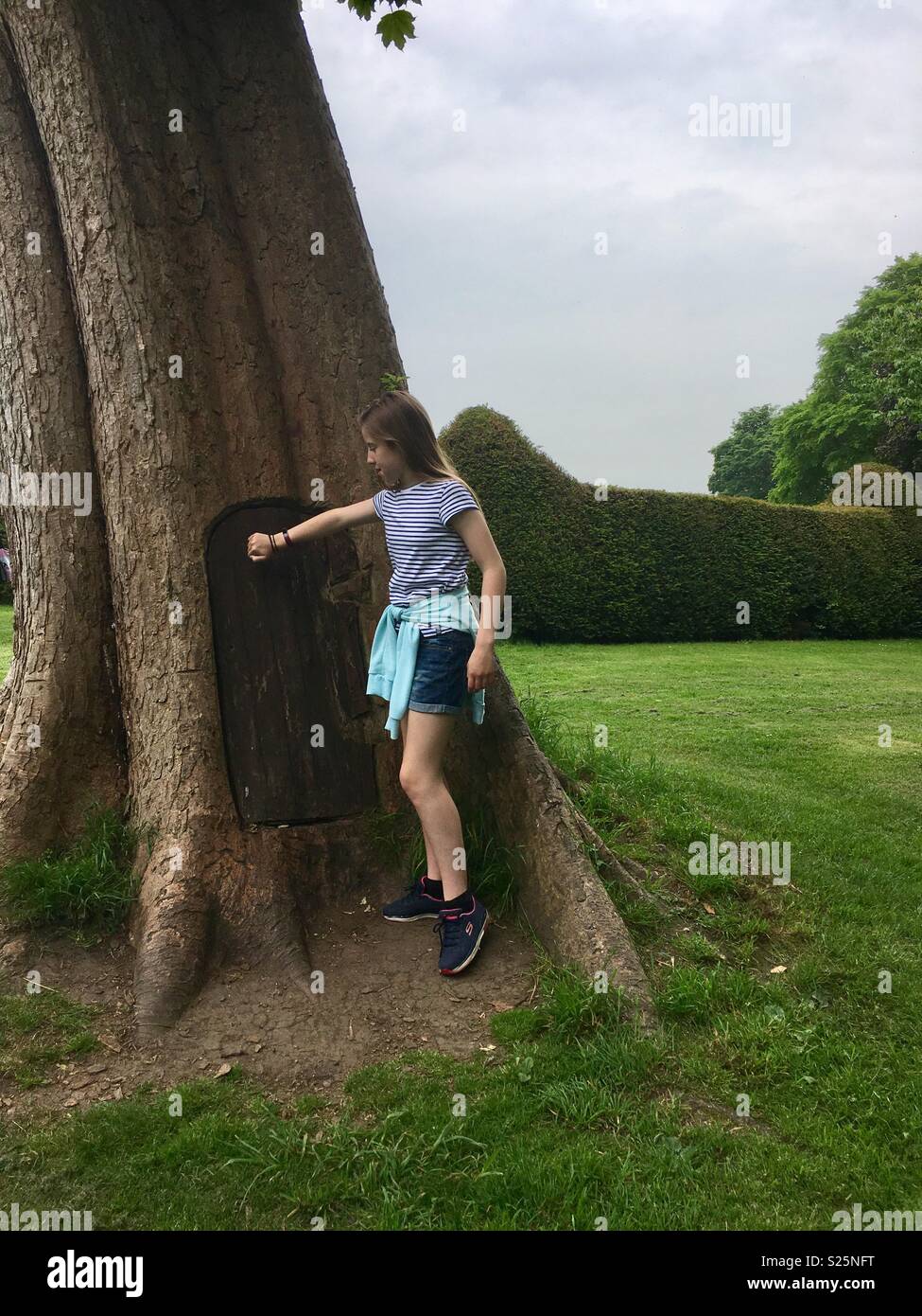 Puerta secreta en un árbol Foto de stock