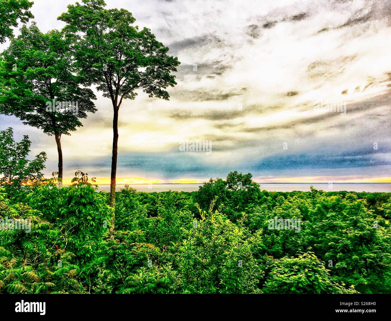 Bosque, con vistas al lago Michigan al atardecer Foto de stock