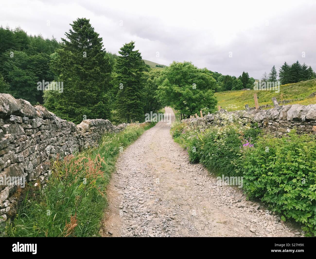 Un áspero camino campestre durante el verano en Alston, Cumbria. Foto de stock