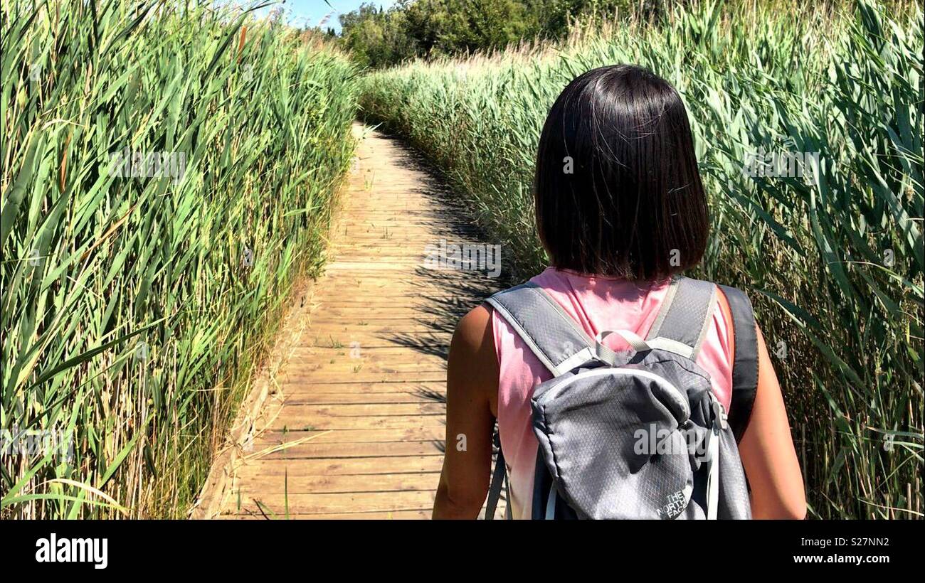 Una mujer caminante paseos a lo largo de un sendero de madera rodeado de hierba alta Foto de stock