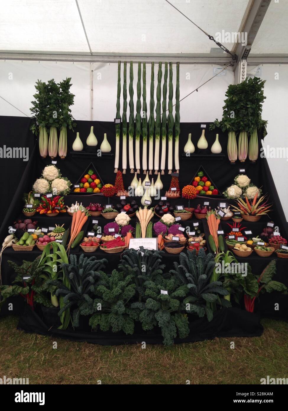 Una pantalla de verduras premiados en el Royal Welsh Show 2018 Foto de stock
