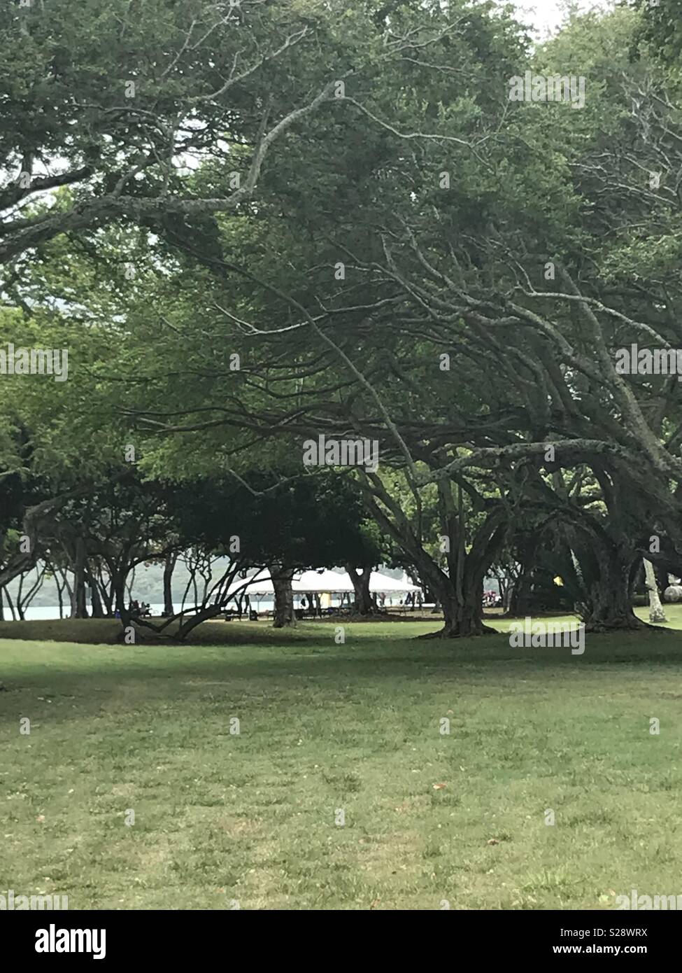 Parque kualoa fotografías e imágenes de alta resolución Alamy