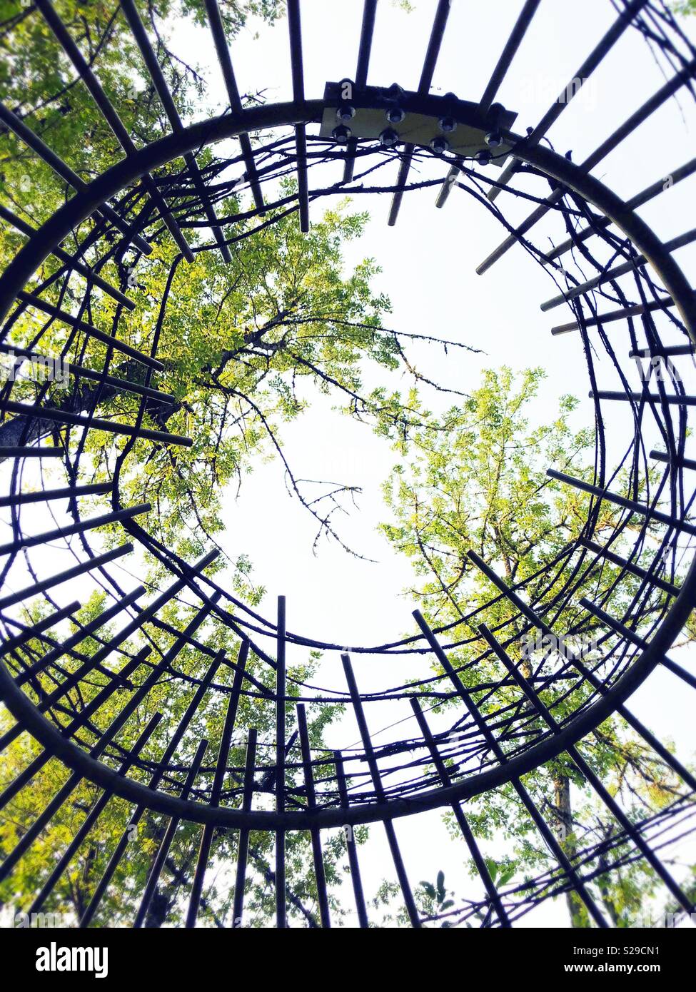 Una vista hacia arriba a través de una estructura tejida con ramas como