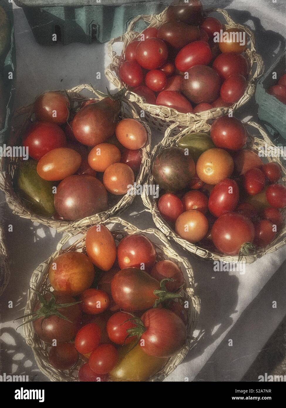 Pequeñas cestas de tomates recién elegido en un mercado de granjeros Foto de stock