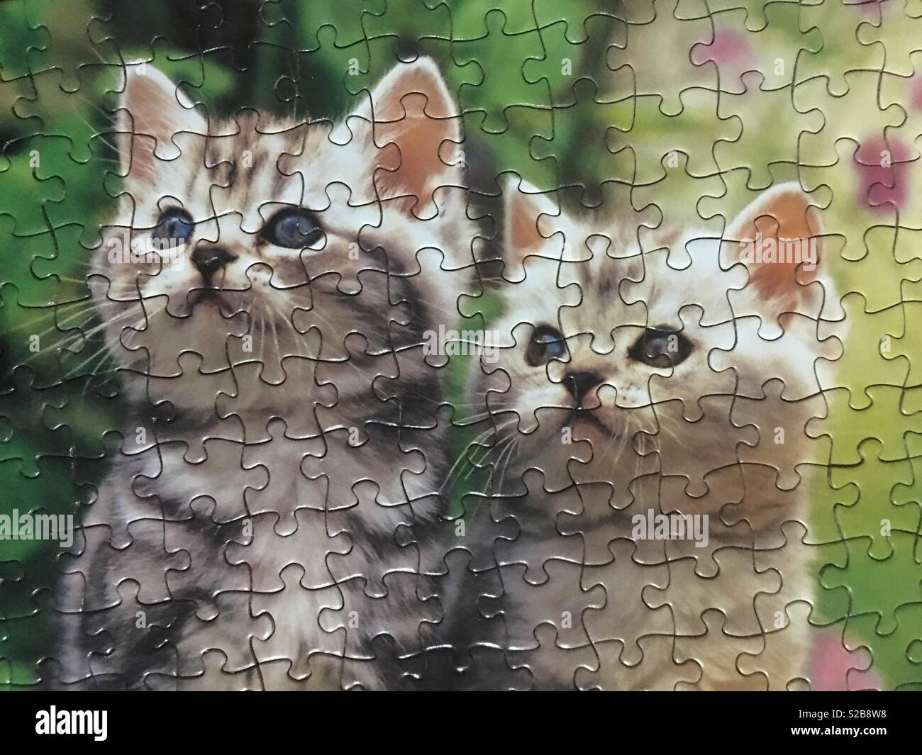 puzzles de gatos