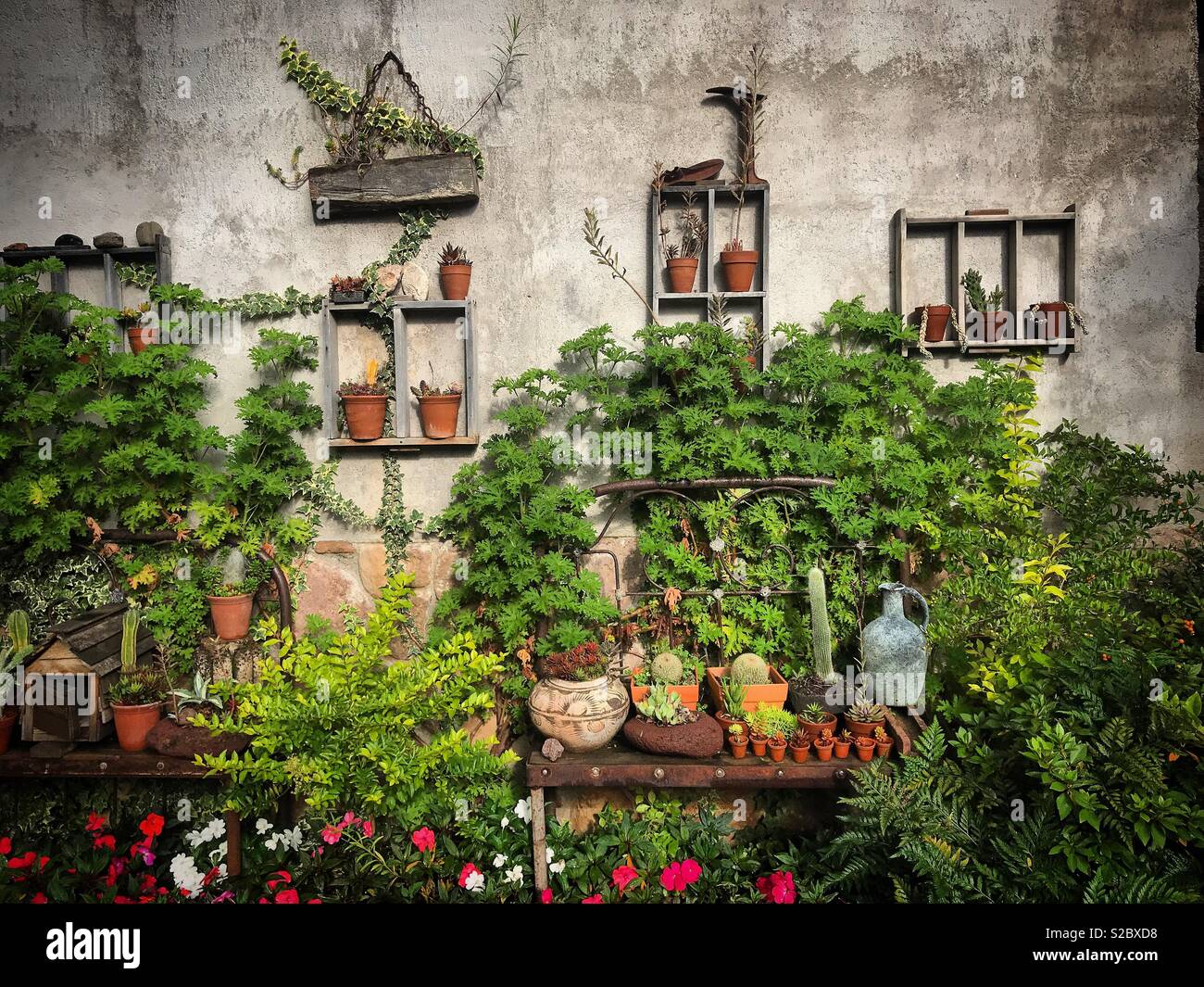 Las macetas y plantas decorar un muro en León, Guanajuato, México  Fotografía de stock - Alamy