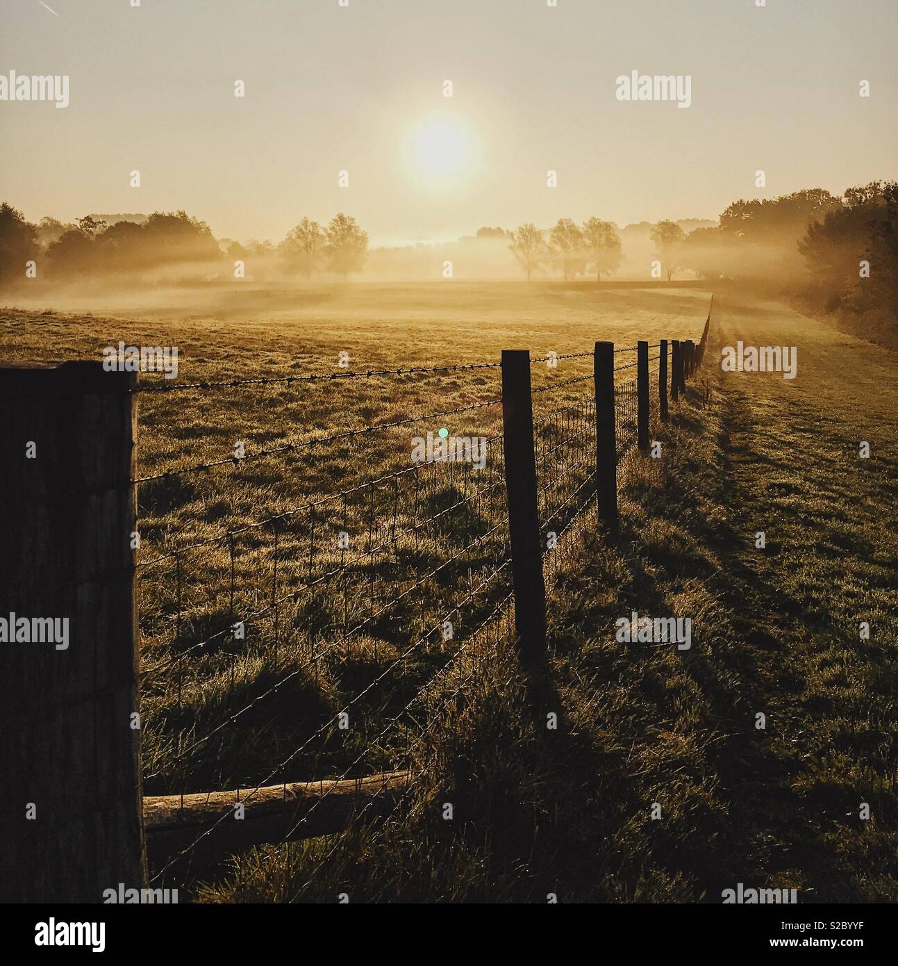 Misty mañana Ightham, Kent, UK Foto de stock