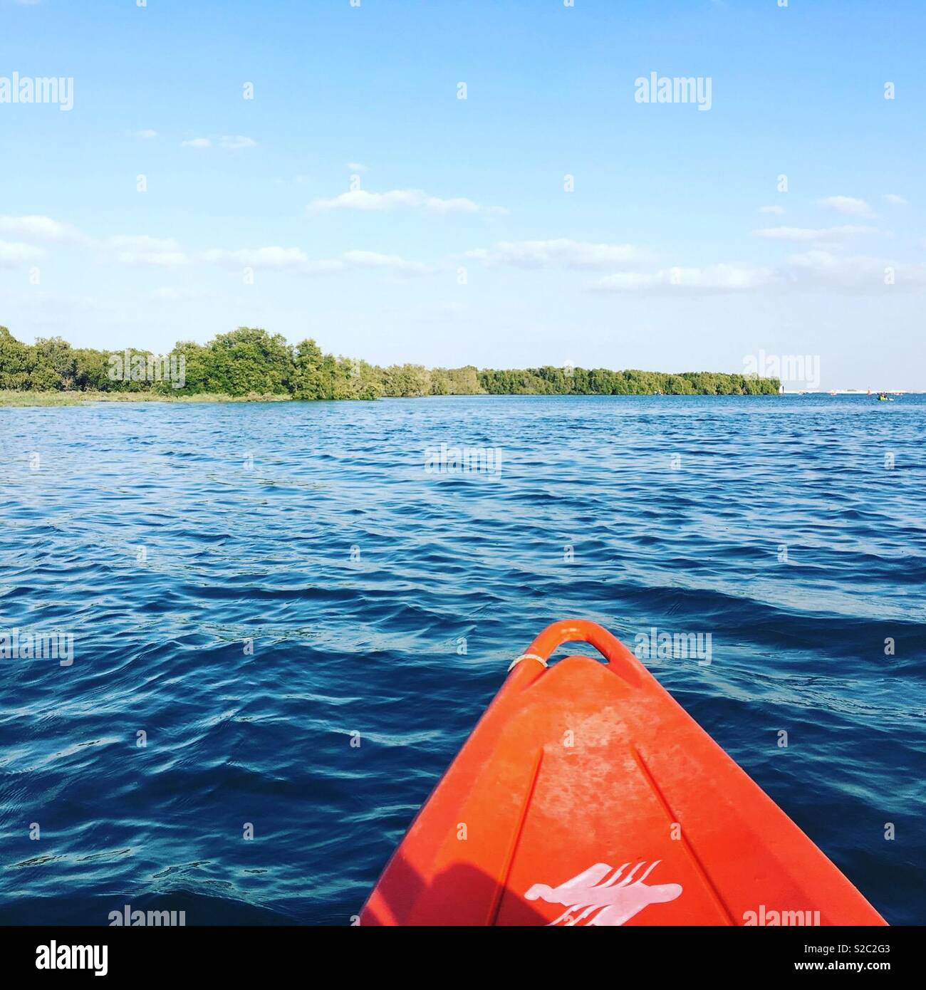 Kayak de mar en el bosque de manglar Foto de stock