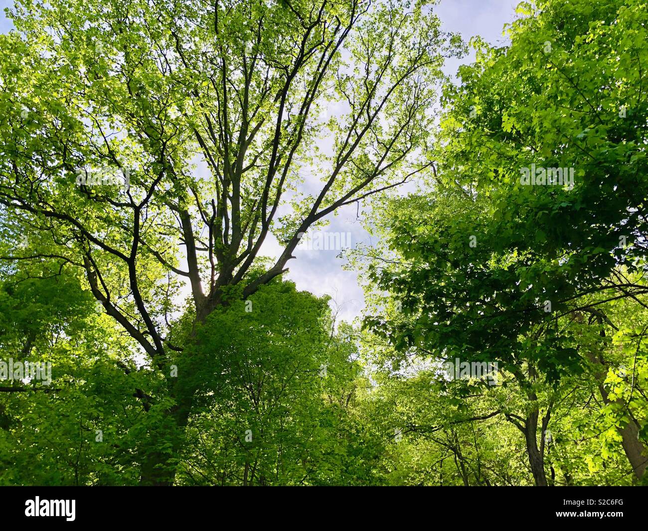 el tiempo de new jersey