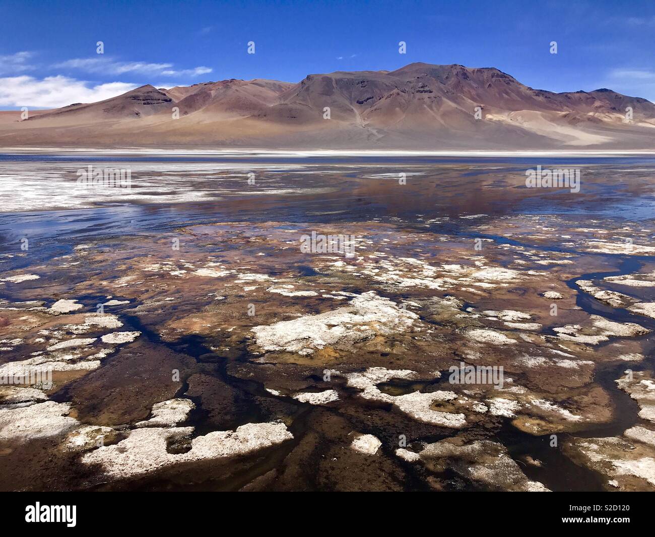 La Laguna Negra, cerca de San Pedro de Atacama, es un lago salino de gran  altitud cerca de la frontera con Chile, Argentina y Bolivia, en la alta  cordillera de Los Andes
