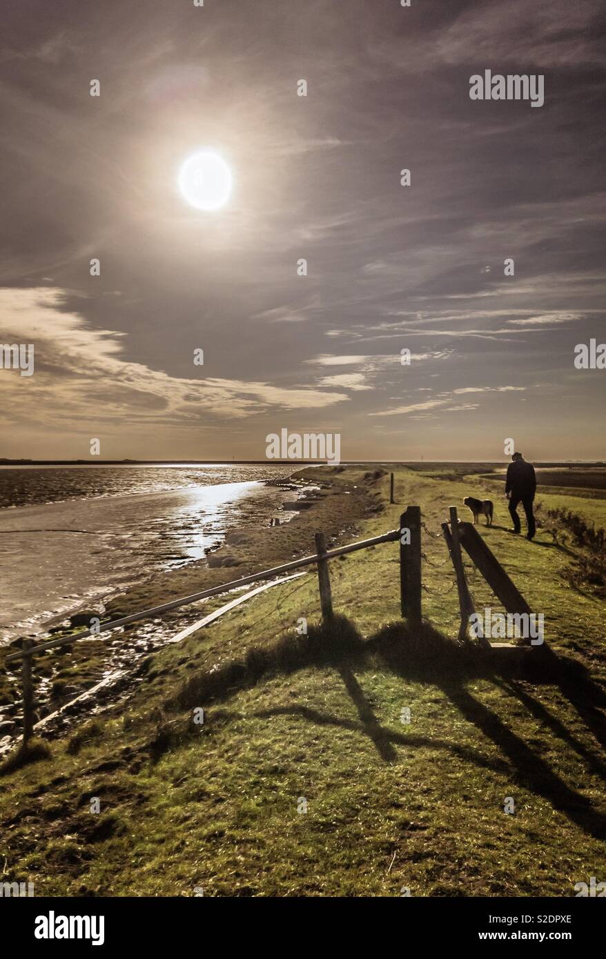 Las telarañas de soplado lejos! Sol de otoño en la ventosa costa. El hombre y el perro. Estuario. Suffolk, Inglaterra Foto de stock