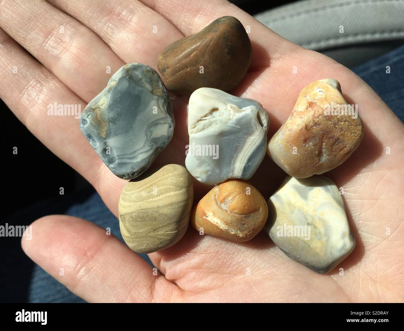 caza de piedras de michigan