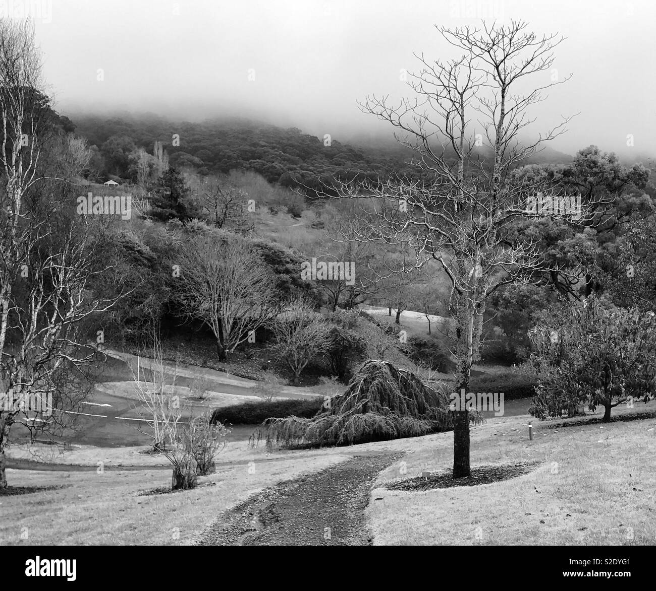 Mount Lofty jardines botánicos 💕xx Foto de stock
