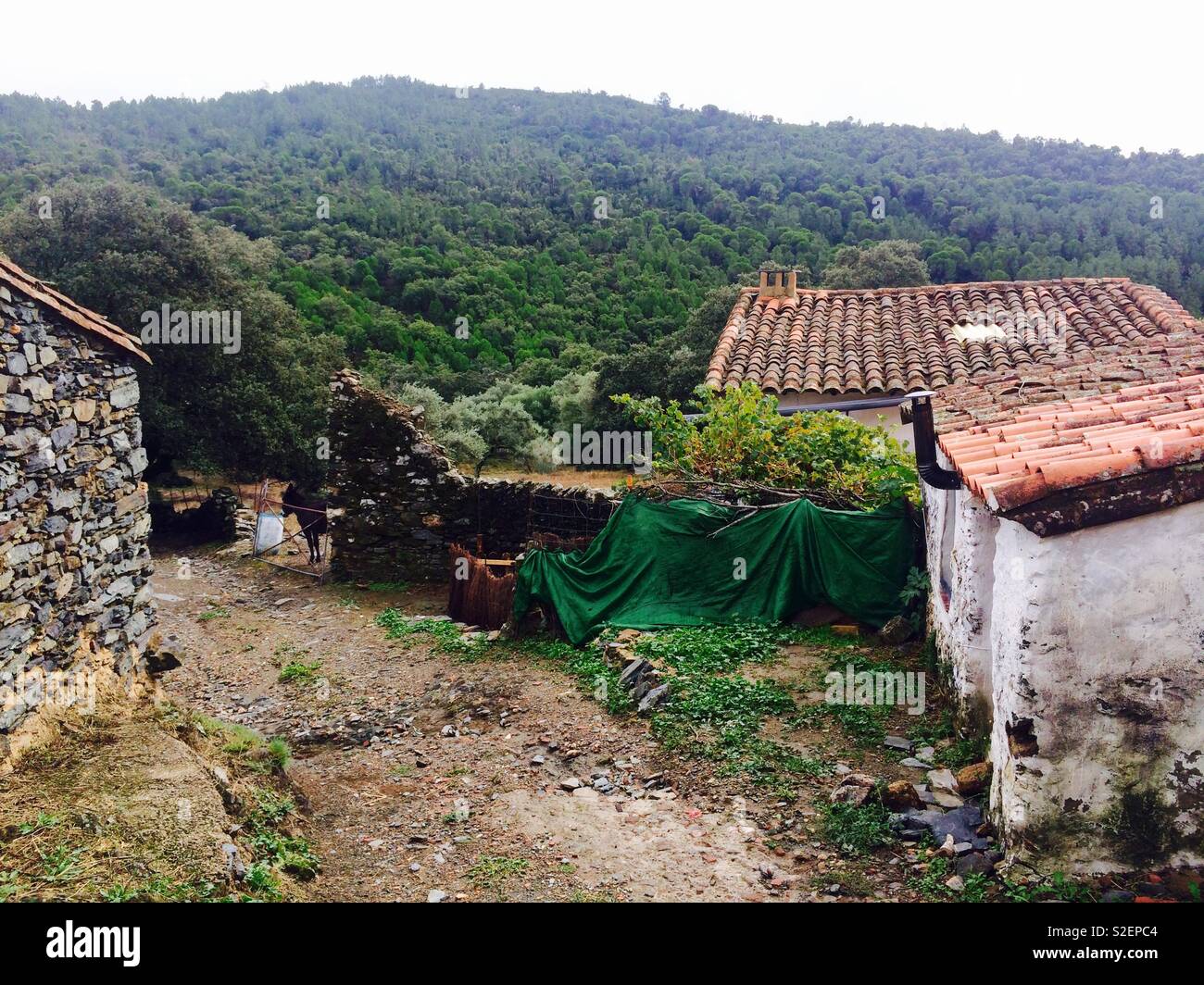 Vista de calle de la aldea de Los Madroñeros en Andalucia España Foto de stock