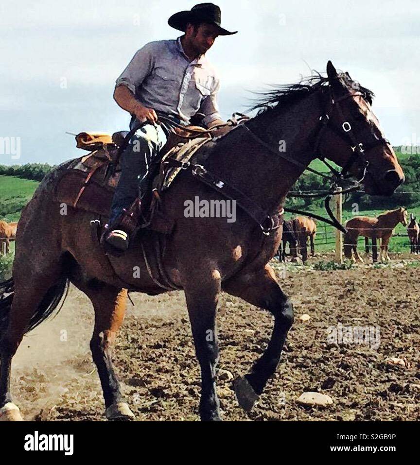 Vaquero montando caballo fotografías e imágenes de alta resolución - Alamy