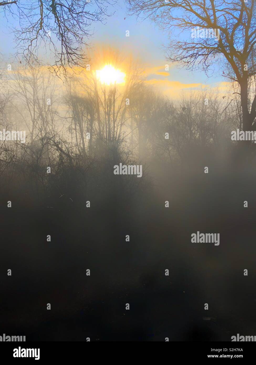 Mañana neblinosa Foto de stock