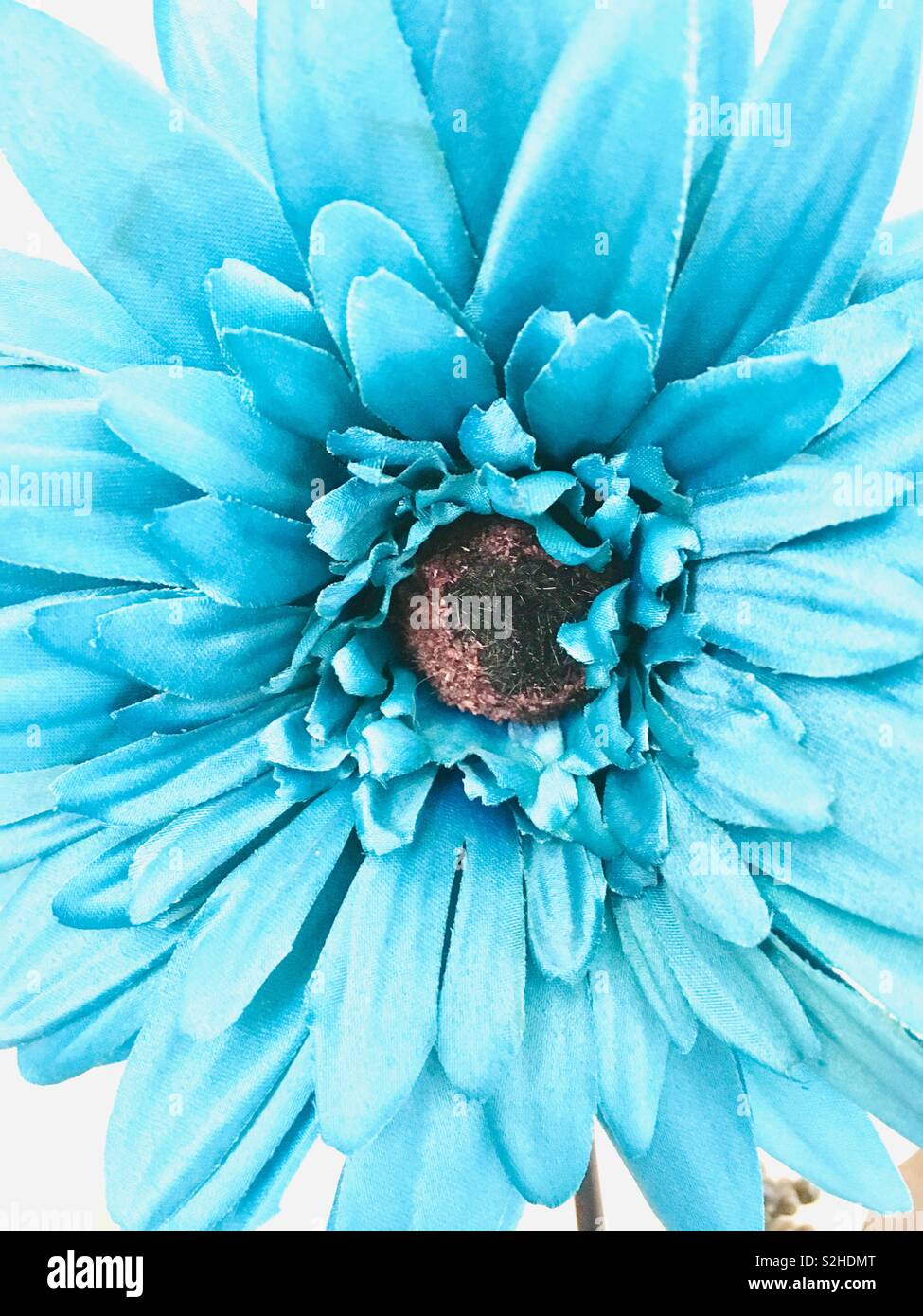 Turquesa flor artificial Fotografía de stock - Alamy