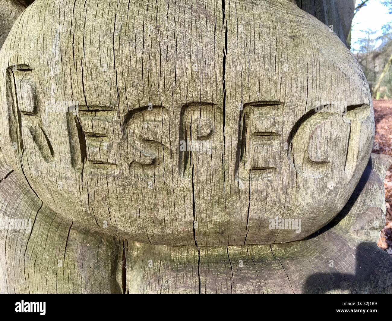 Respecto talladas en madera de word Foto de stock
