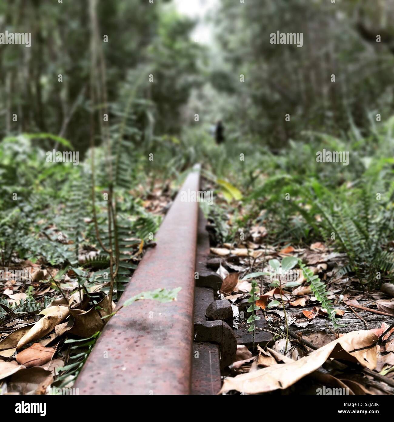 Antigua vía de tren abandonada, Foto de stock