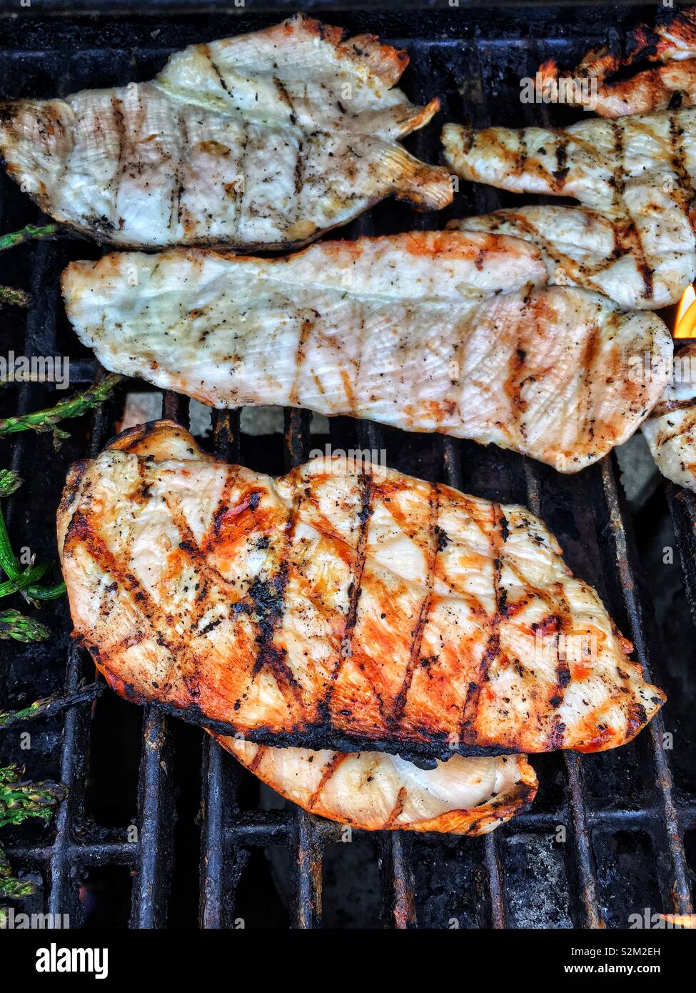 Las croquetas de pollo asado char a la parrilla. Foto de stock