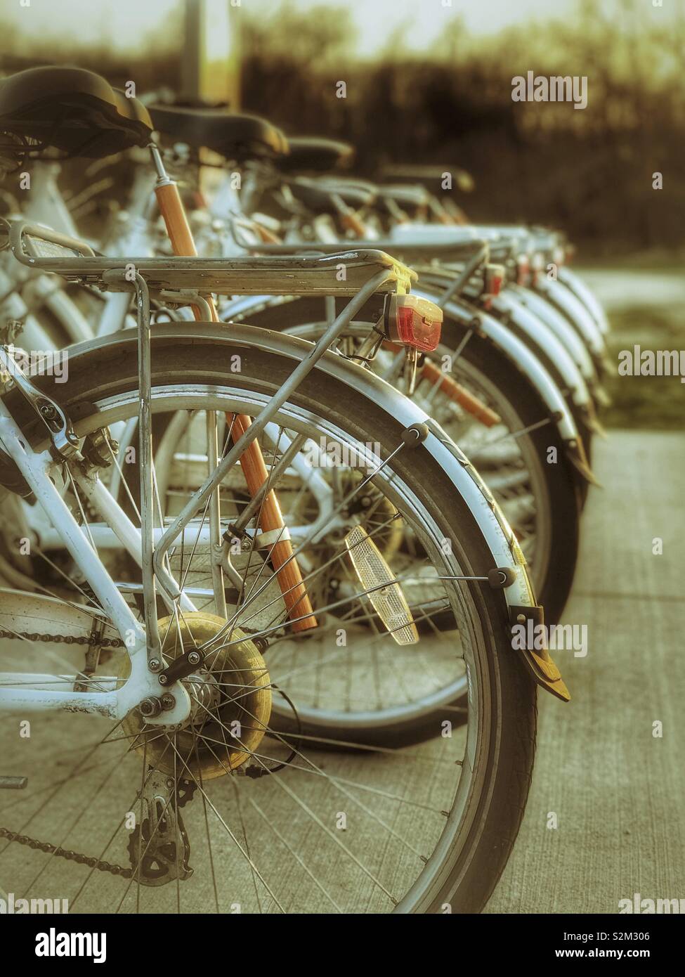 Alquiler de bicicletas alineadas en un parque local. Foto de stock
