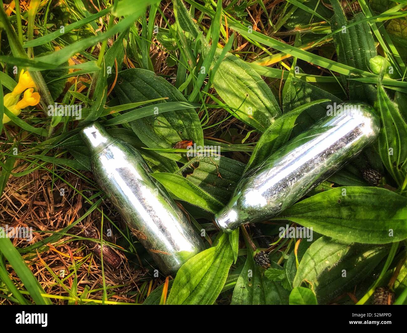 Descartan botes de óxido nitroso descartados en la hierba en el prado. N2O es un alto ilegal, también conocida como crack hippy Foto de stock