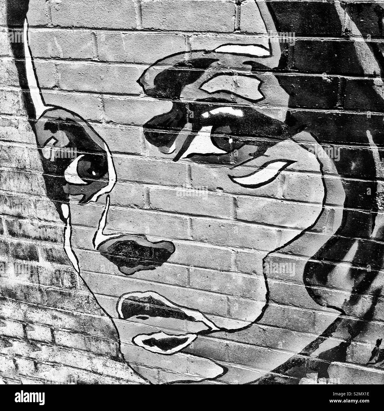 Cerca De La Calle Urbana Arte Por El Artista Alec Saunders En La