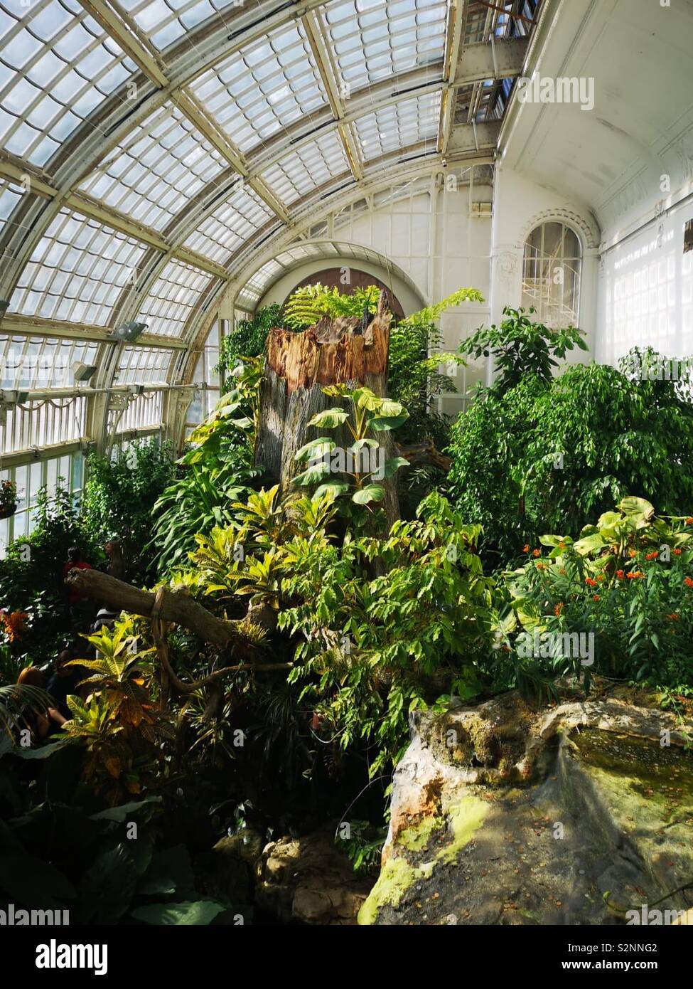 Casa de las mariposas de viena fotografías e imágenes de alta resolución -  Alamy