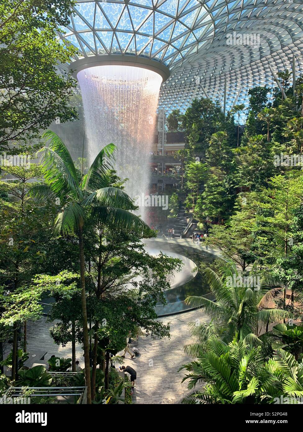 Joya cascada en medio del bosque tropical al aeropuerto Changi de Singapur Foto de stock