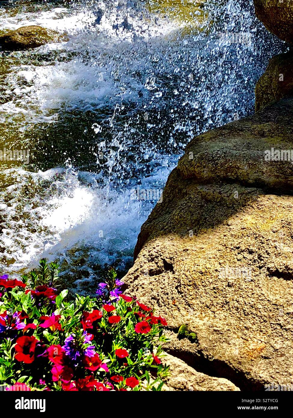 Cascada de flores fotografías e imágenes de alta resolución - Alamy