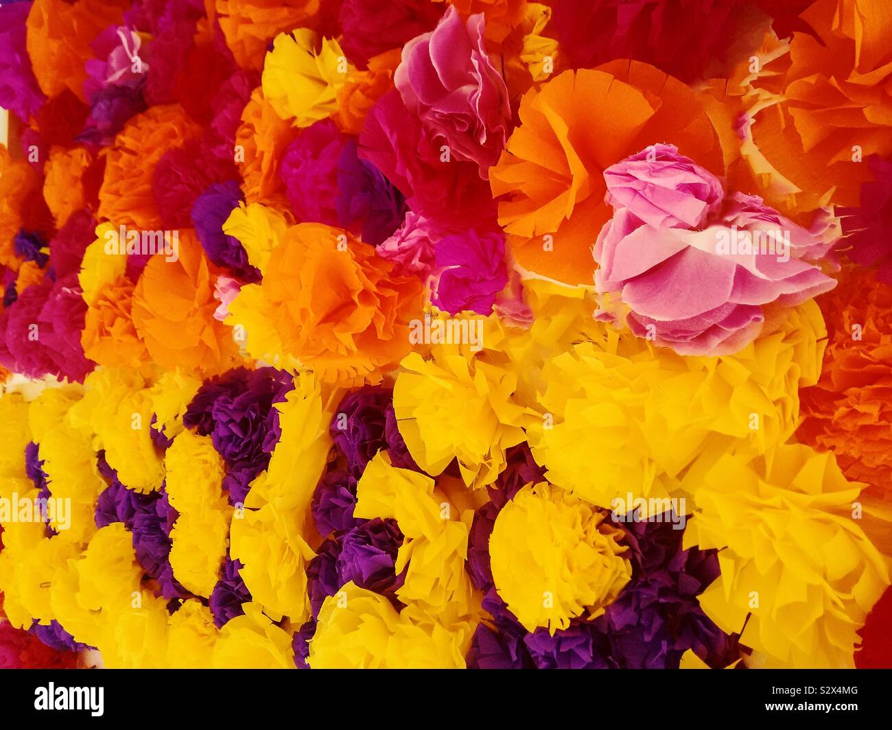 Colonos impermeable cuidadosamente Flores de papel para decorar un altar de Día de Muertos en Mérida, Yucatán,  México Fotografía de stock - Alamy