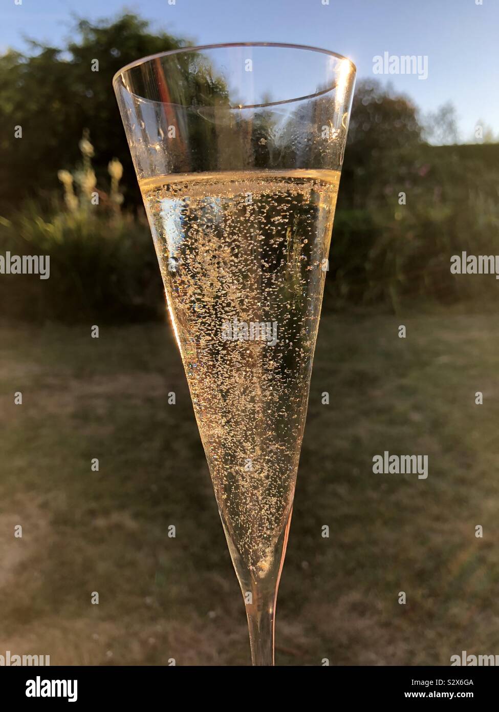 Flauta de champán en el jardín Foto de stock