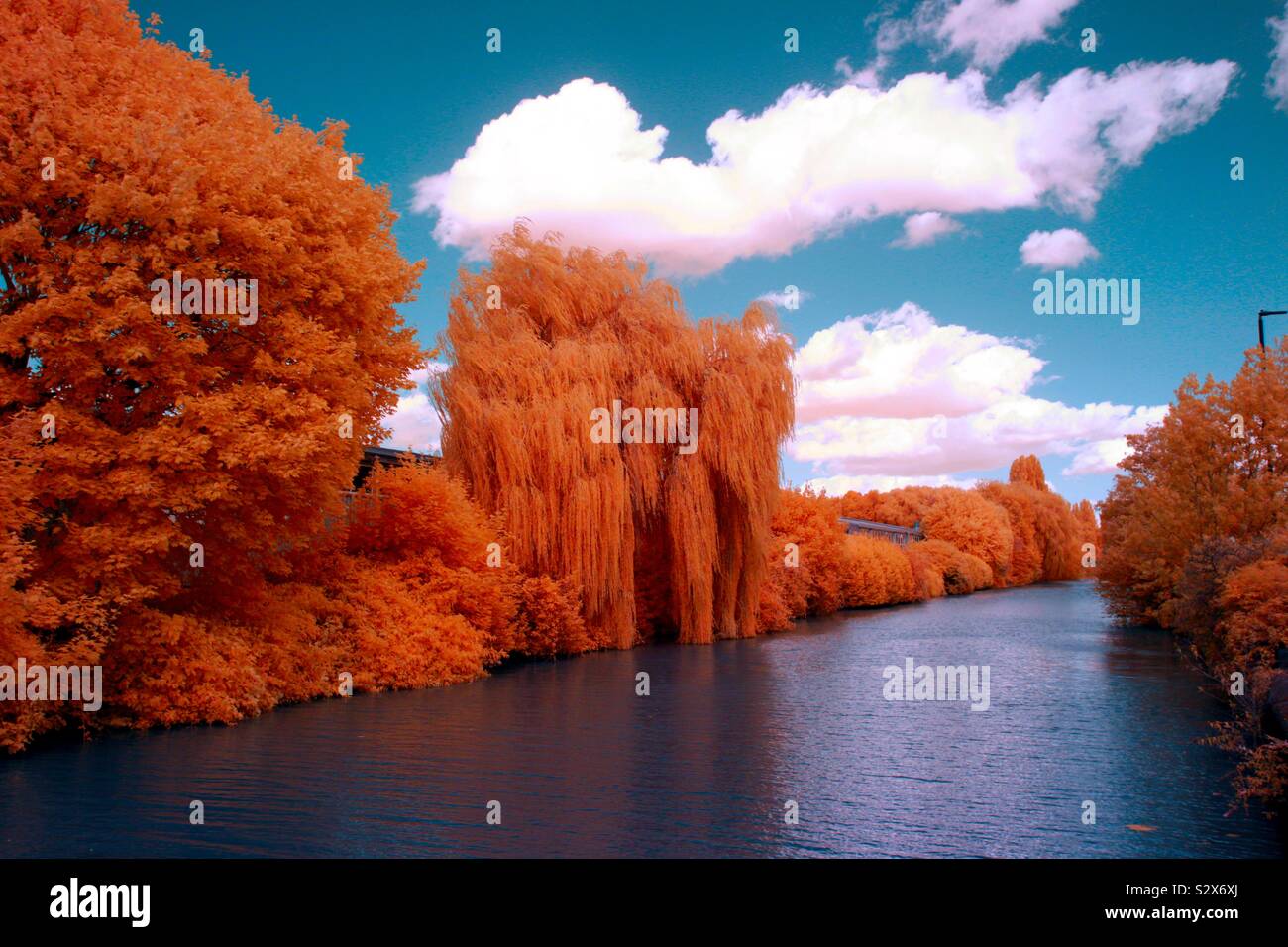 Río sauce llorón fotografías e imágenes de alta resolución Alamy