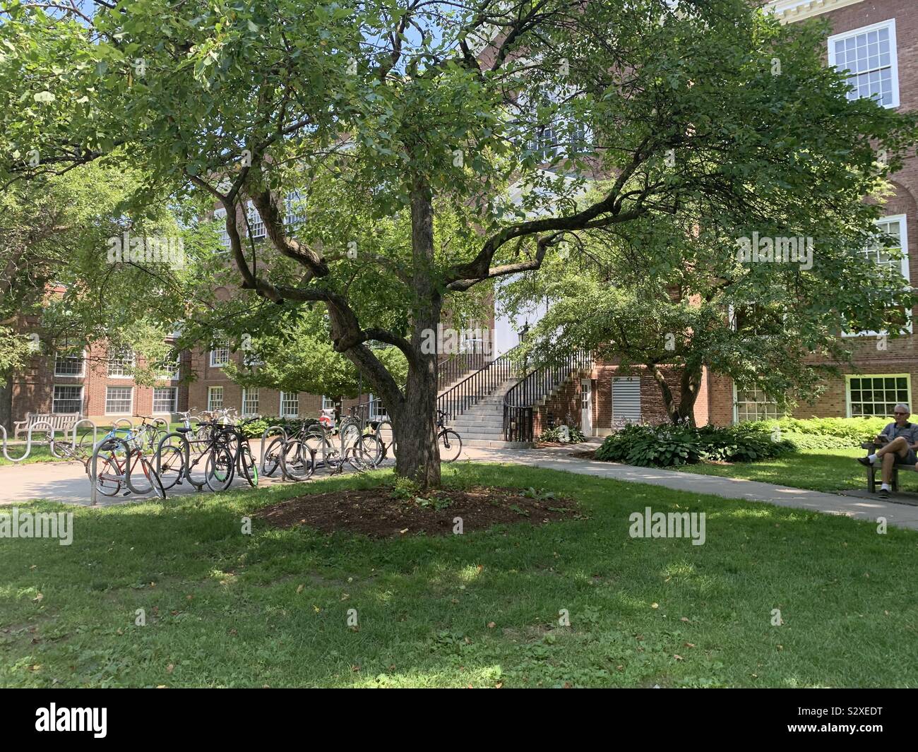 árbol de bicicletas fotografías e imágenes de alta resolución - Alamy