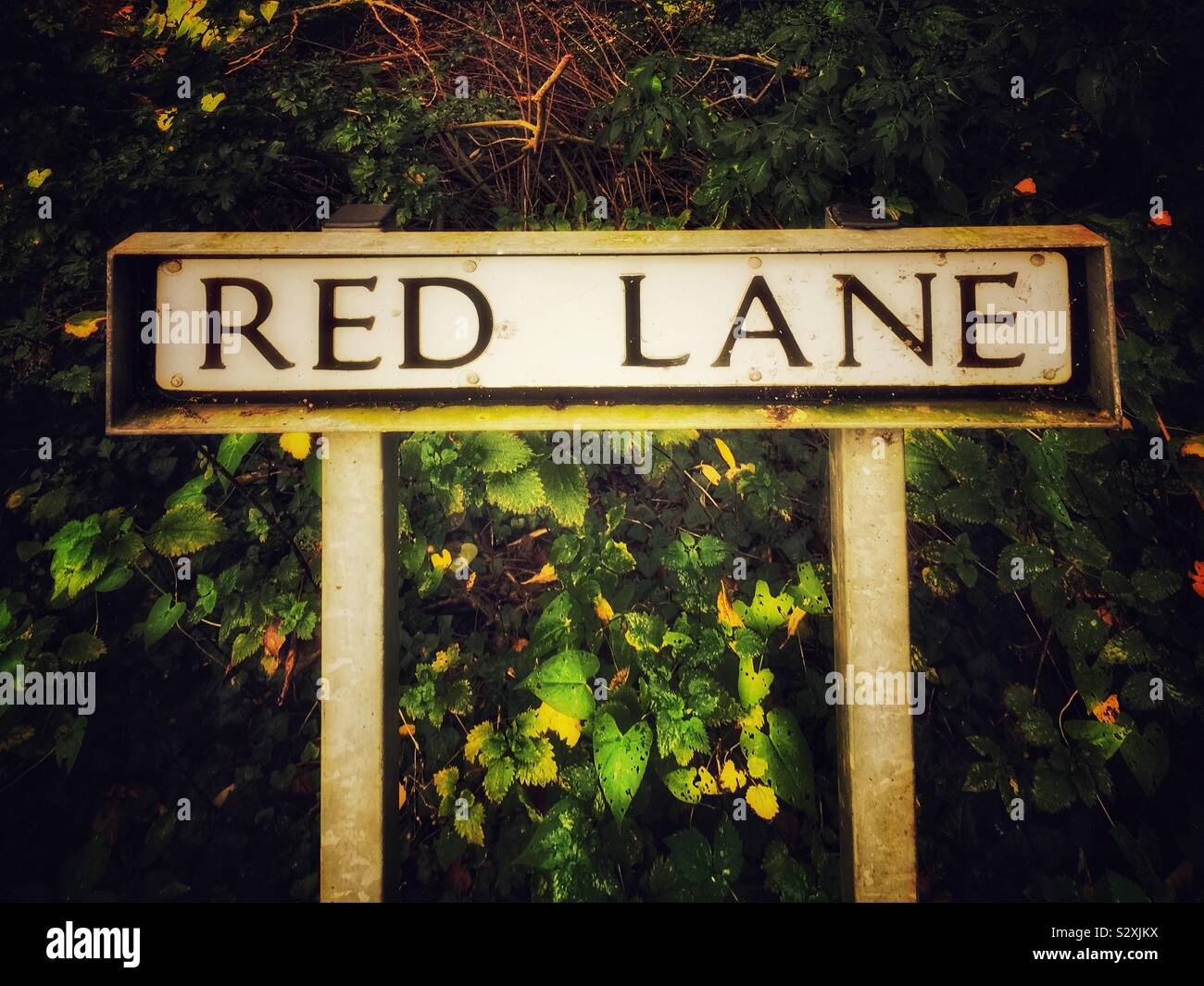 Red lane fotografías e imágenes de alta resolución Alamy