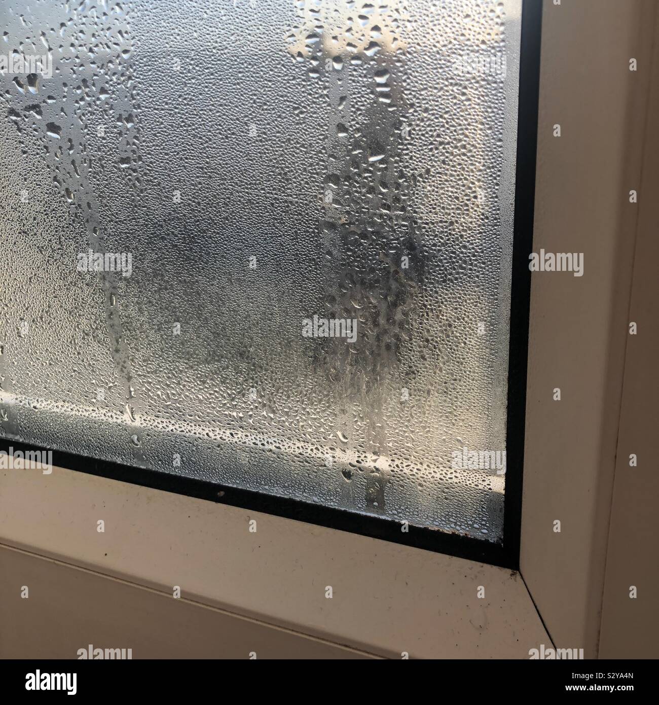 La condensación en la ventana en invierno Foto de stock