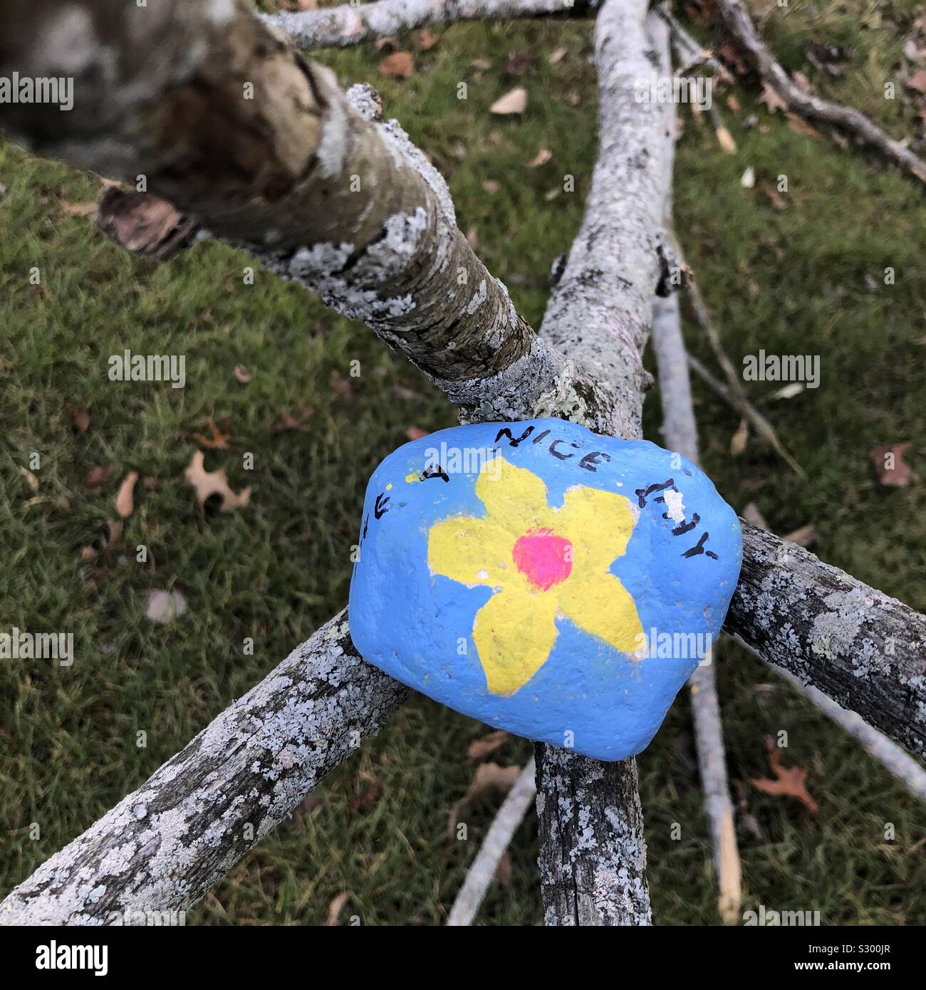 Una roca con una flor y tener un buen día pintado sobre él sentado en las ramas de un árbol caído Foto de stock
