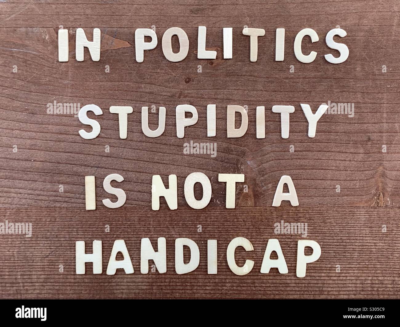 En política la estupidez no es una desventaja, cotización famosa compuesto con letras de madera Foto de stock