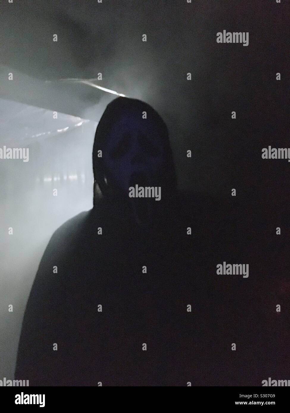 La noche de Halloween:sombra de miedo Foto de stock