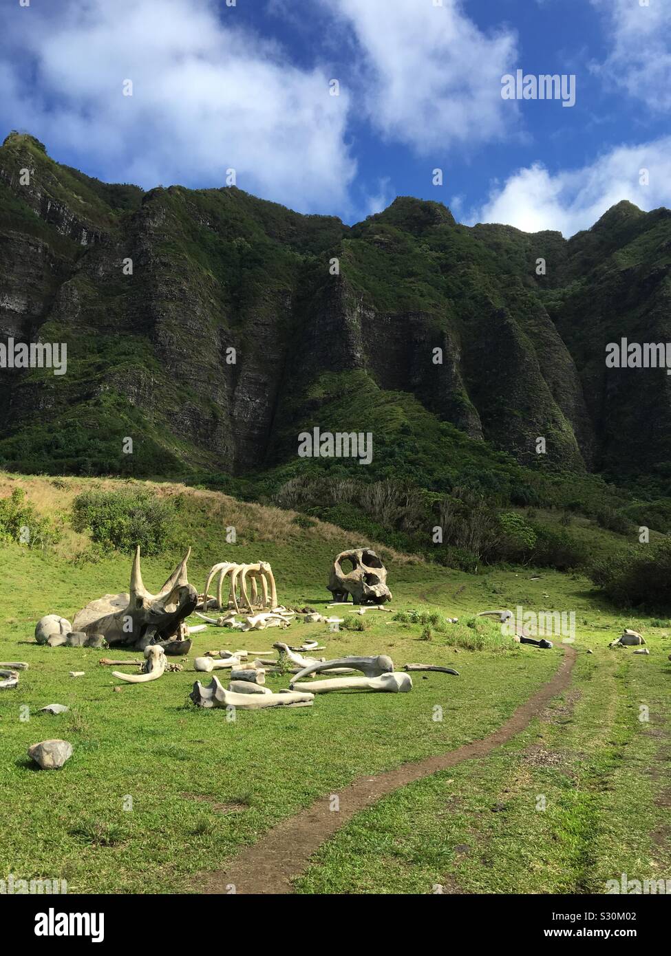 Ubicación para la película King Kong Kong: Skull Island en Kualoa Ranch en Oahu, Hawai Foto de stock