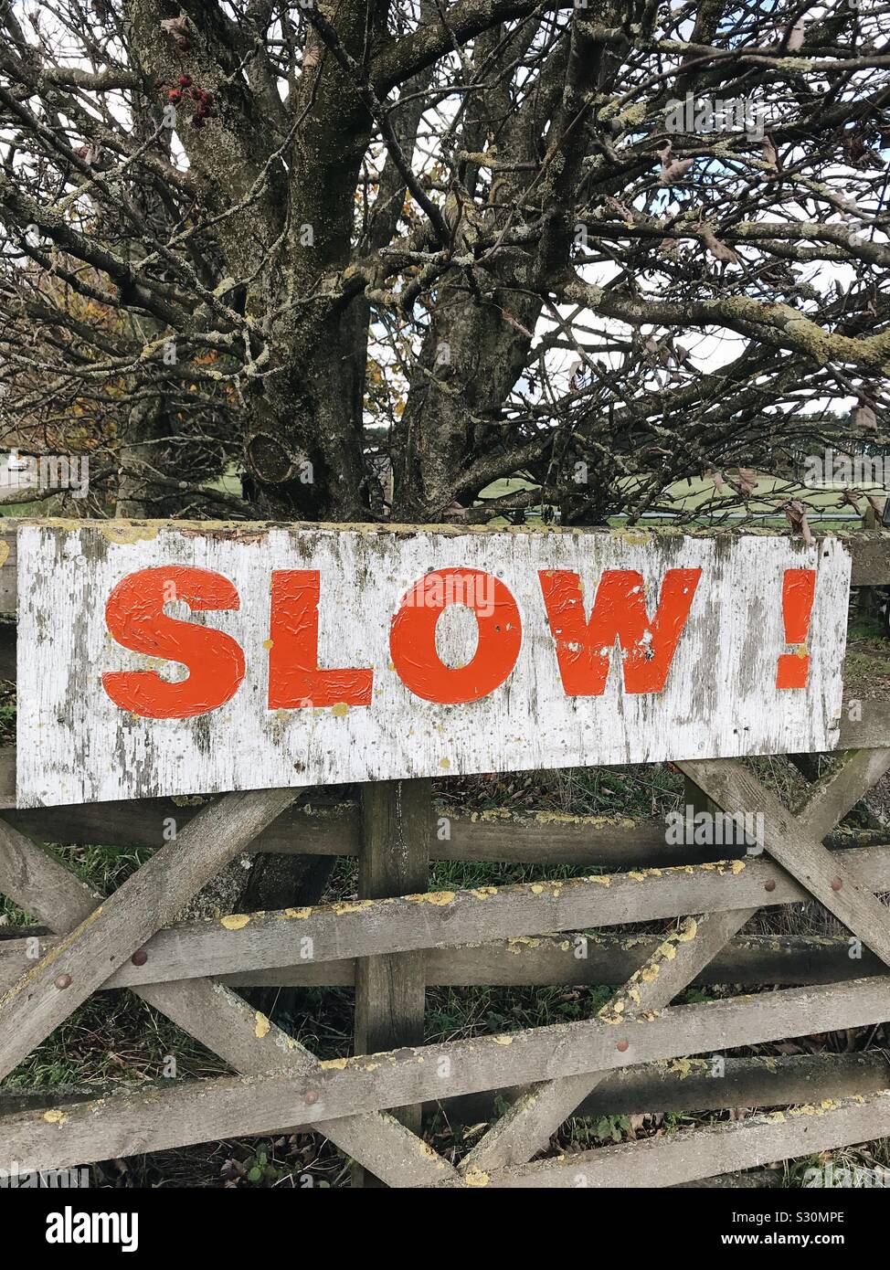 Un signo lento en una puerta en el Condado de Durham, Reino Unido. Foto de stock