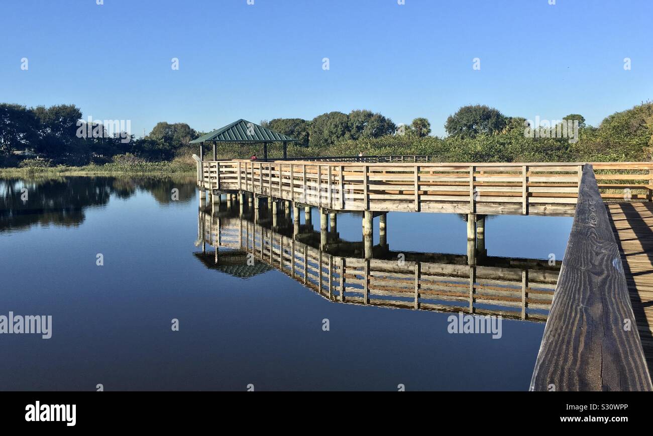 Wakodahatchee Humedales, en el condado de Palm Beach, Florida, EE.UU. Foto de stock