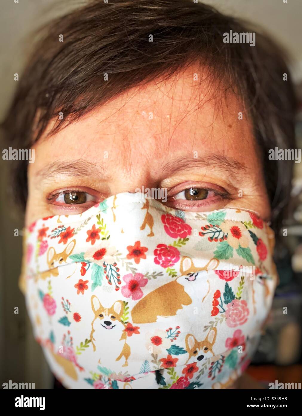 Mascarilla facial divertida de Corgis hecha a mano para protegerla de los covid19 Foto de stock