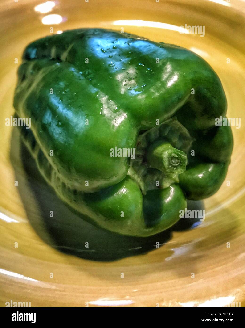 Pimienta verde fresca recogida Foto de stock